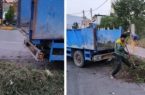 جمع اوری علفهای هرز، شاخه ها و خاک  حاشیه معابر سطح شهر