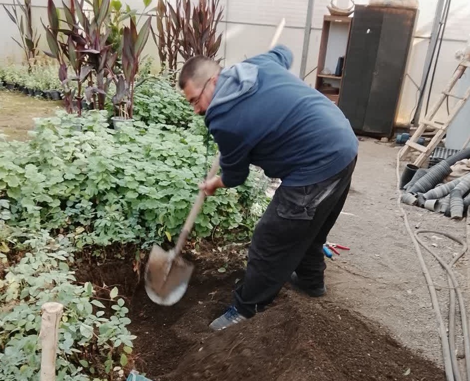 آغاز عملیات قلمه‌زنی و آماده‌سازی نشا در گلخانه شهرداری طالقان