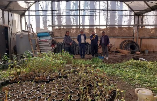 بازدید شهردار طالقان از گلخانه شهرداری و بررسی برنامه‌های بهار ۱۴۰۵