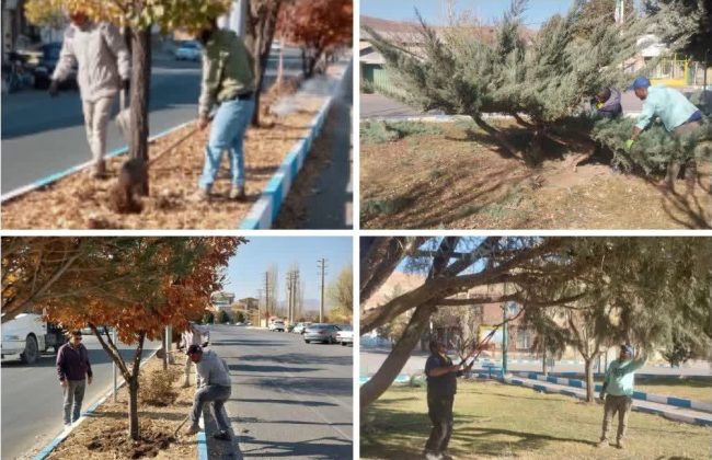 عملیات شخمزنی و هرس اصولی درختان در راستای بهبود شرایط رشد، افزایش بهرهوری، حفظ سلامت فضای سبز و ارتقای منظر شهری انجام شد