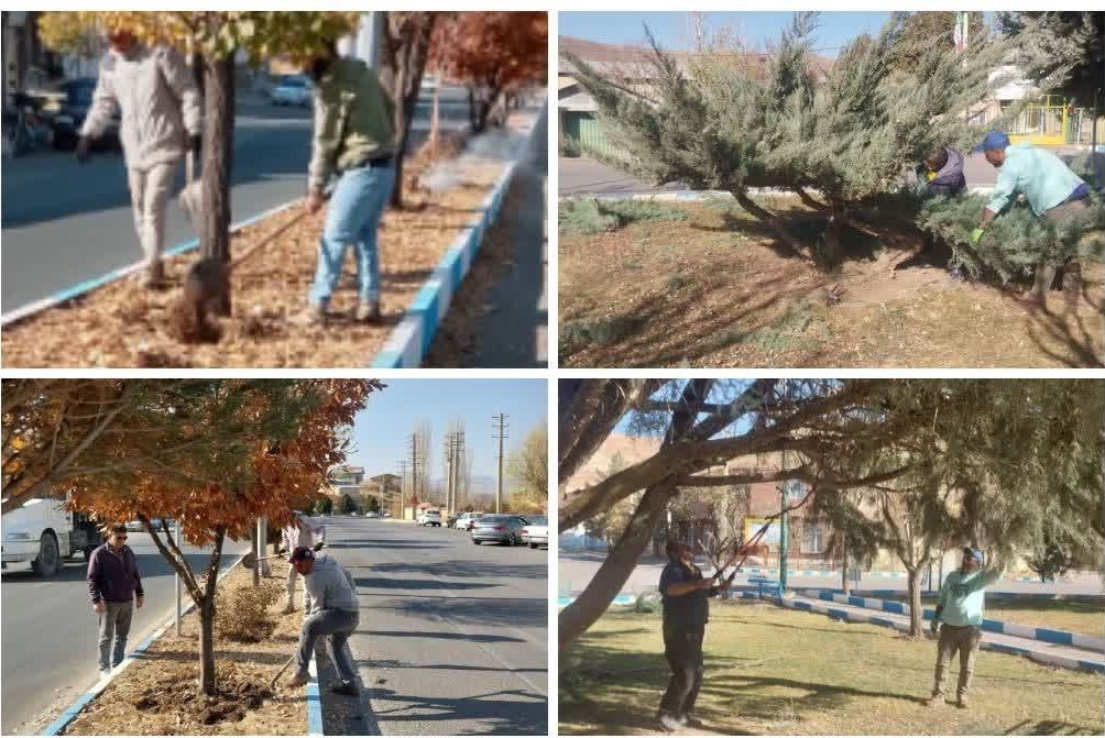 عملیات شخمزنی و هرس اصولی درختان در راستای بهبود شرایط رشد، افزایش بهرهوری، حفظ سلامت فضای سبز و ارتقای منظر شهری انجام شد