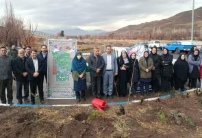 نهضت درختکاری در طالقان در آستانه روز مادر و گرامیداشت تولد حضرت فاطمه(س)