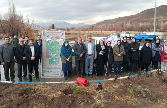 نهضت درختکاری در طالقان در آستانه روز مادر و گرامیداشت تولد حضرت فاطمه(س)