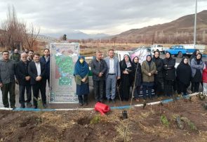 نهضت درختکاری در طالقان در آستانه روز مادر و گرامیداشت تولد حضرت فاطمه(س)