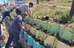 کاشت درختچه های توت و یوگا در بلوار آیت الله طالقانی و گلدان های بتنی بلوار امام خمینی کاشت درختچه های توت و یوگا در بلوار آیت الله طالقانی و گلدان های بتنی بلوار امام خمینی
