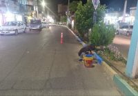 عملیات رنگآمیزی جداول سطح شهر