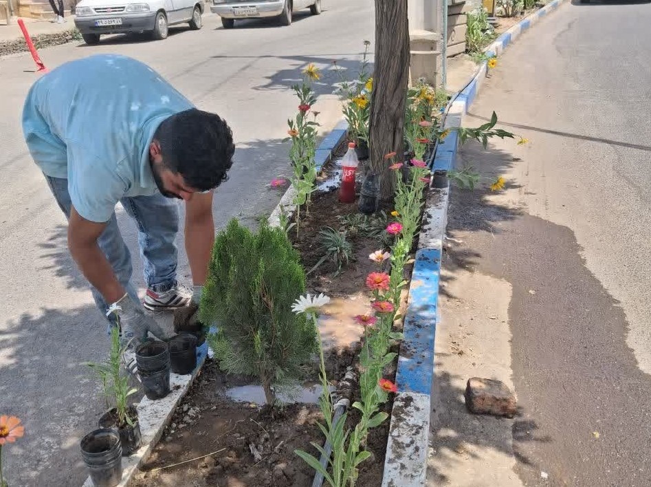 کاشت گل‌های فصلی در سطح شهر با هدف زیباسازی سیمای شهری