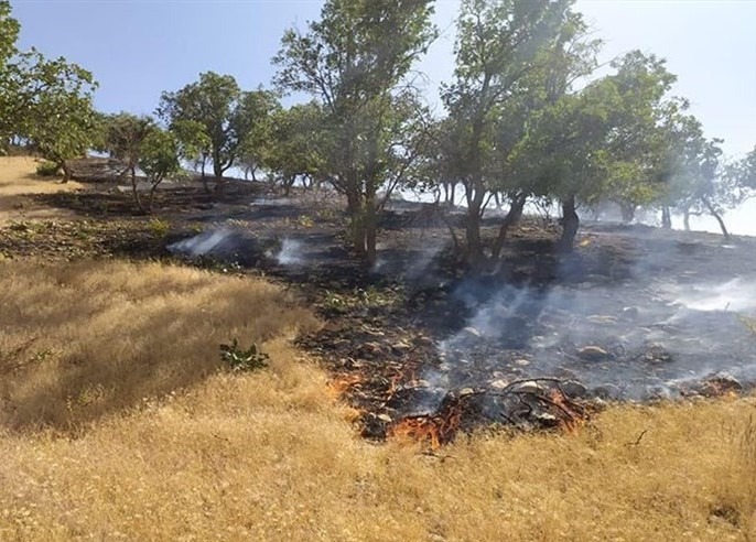 مهار آتشسوزی باغات روستای فشندک طالقان