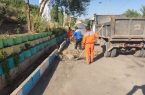 جمع‌آوری نخاله‌های سطح شهر در راستای ارتقای سیمای شهری