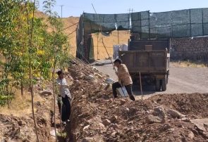 عملیات کاشت درخت جهت ایجاد فضای سبز پیرامون سایت انتقال موقت زباله