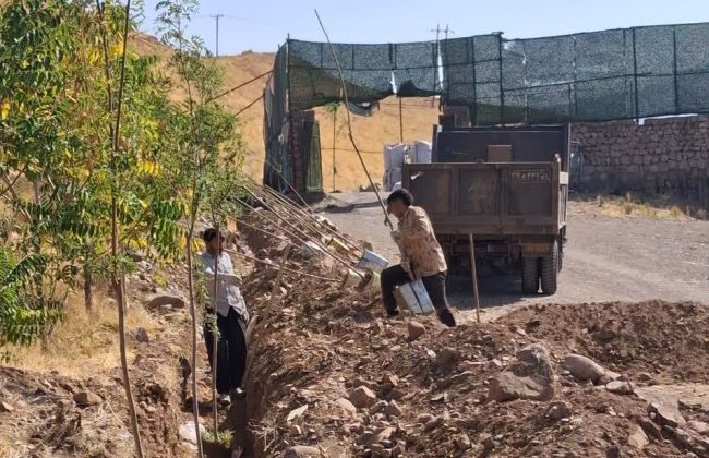 عملیات کاشت درخت جهت ایجاد فضای سبز پیرامون سایت انتقال موقت زباله